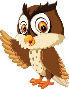 cute owl cartoon